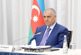 Али Нагиев: Азербайджан полностью гарантирует армянскому населению безопасное проживание в Карабахе