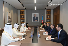 Катар выразил заинтересованность во всестороннем сотрудничестве с Азербайджаном