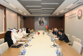 Министерства иностранных дел Азербайджана и Катара провели политические консультации