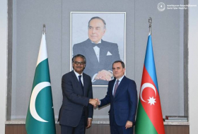Глава МИД Азербайджана встретился с пакистанским коллегой