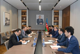 Глава МИД Азербайджана обсудил со спецпредставителем ЕС перспективу проекта мирного соглашения