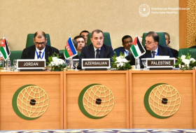 Глава МИД: Азербайджан поддерживает борьбу палестинского народа за государственность