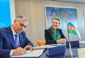 Глава СГБ Азербайджана встретился с генсеком Совета Европы