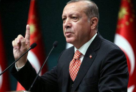 Эрдоган запросил парламент продлить на два года мандат ВС в Сирии и Ираке