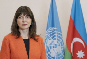Резидент-координатор ООН: После войны жертвами мин стали сотни азербайджанцев