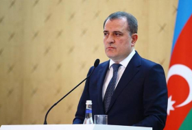 Глава МИД Азербайджана: Израильско-палестинский конфликт должен быть решен на основе принципа двух государств