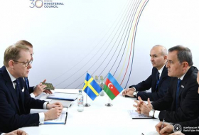 Главы МИД Азербайджана и Швеции встретились в Скопье