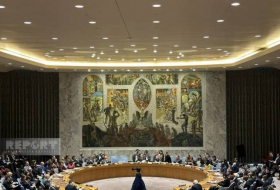 Совбез ООН принял резолюцию с призывом к гуманитарному прекращению огня на Ближнем Востоке