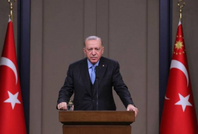 Мы проявили полную солидарность с Азербайджаном в Карабахе - Президент Турции