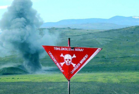 Стало известно количество обезвреженных мин на освобожденных территориях Азербайджана