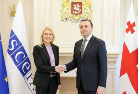 Председатель ПА ОБСЕ обсудила с Гарибашвили армяно-азербайджанские отношения