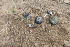 В Абшеронском районе возле озера обнаружены ручные гранаты - ФОТО