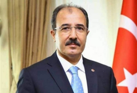 Посол Турции призвал международные организации поддержать Азербайджан в устранении минной проблемы