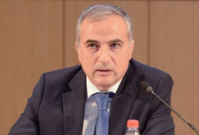 Фарид Шафиев: Франция открыто ведет дипломатическую войну против Азербайджана