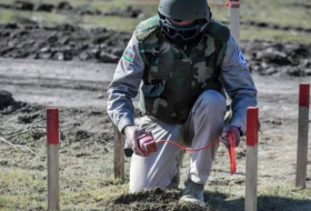 На освобожденных территориях Азербайджана очищено от мин 114 тыс. га