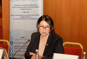 Драгана Коич: Азербайджан проделывает большую работу с пострадавшими от мин