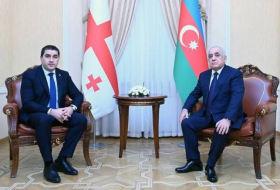 Али Асадов встретился с председателем парламента Грузии