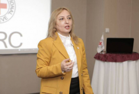 Илаха Гусейнова: МККК интересуется состоянием двух удерживаемых в Армении азербайджанцев