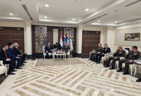 Глава Минобороны Азербайджана встретился с египетским коллегой