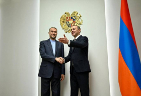 Григорян назвал вопросы, обсужденные с главой МИД Ирана