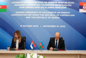 Дубравка Джедович: «Благодаря азербайджанским друзьям Сербия смогла договариваться о поставках газа»