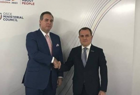 Главы МИД Азербайджана и Черногории обсудили региональные вопросы