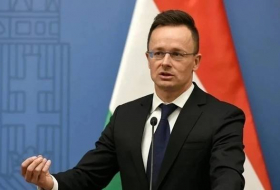 Венгерский МИД: посол США ведёт себя так, будто Венгрия — это американский штат