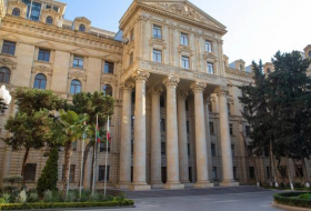 Надеемся на дальнейшее укрепление сотрудничества с ОАЭ - МИД Азербайджана