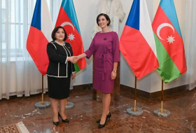 Спикер Милли Меджлиса: «Азербайджан готов к миру с Арменией»