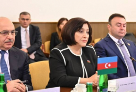 Сахиба Гафарова проинформировала чешских депутатов о мирных инициативах Азербайджана