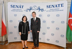Сахиба Гафарова проинформировала председателя Сената Чехии о военно-политических провокациях Армении
