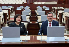 Спикер Милли Меджлиса встретилась с вице-президентом Турции