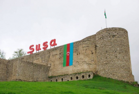 Генсек ОЭС: Шуша станет одним из часто посещаемых мест в Азербайджане