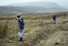 На освобожденных территориях Азербайджана обнаружены еще 64 мины и 307 НРБ