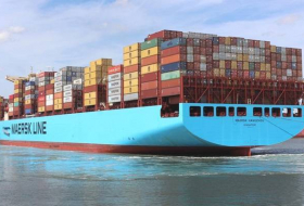 Хуситы взяли ответственность за ракетный удар по контейнеровозу Maersk Hangzhou