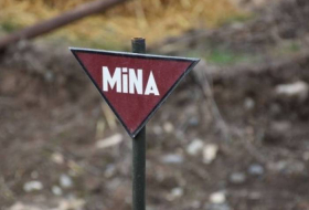 ANAMA: От мин очищено более 118 тыс. гектаров