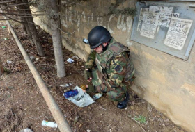 В Абшеронском районе обнаружены боеприпасы - Видео