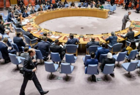 Представители ряда стран покинули зал СБ ООН во время речи постпреда Израиля