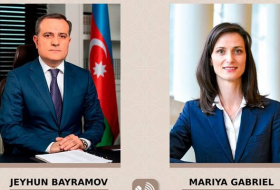Глава МИД Азербайджана обсудил двусторонние связи с вице-премьером Болгарии