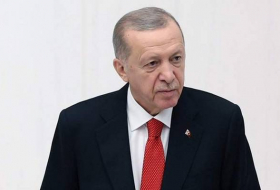 Эрдоган призвал немедленно прекратить военные действия в Газе
