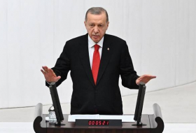 Эрдоган: Турецкая разведка удивила Израиль