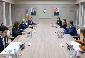 Премьер-министр Азербайджана встретился с региональным директором ЮНИСЕФ