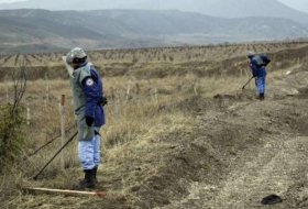 Глава МЧС РФ предложил премьеру Азербайджана возобновить подготовку взрывотехников
