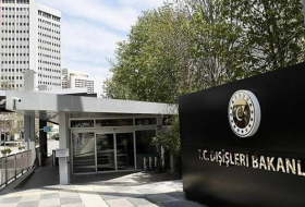МИД: Турция ожидает от Израиля немедленного и полного выполнения решения Международного суда