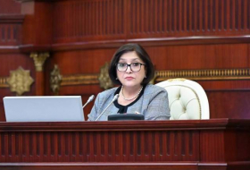 Спикер ММ: Баку рассчитывает на поддержку парламентов европейских стран в вопросе нормализации с Ереваном