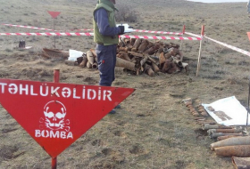 На освобожденных территориях Азербайджана обнаружено еще 79 мин и 525 НРБ