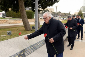 Делегация Великого национального собрания Турции посетила мемориал турецким воинам в Баку