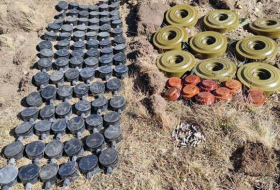 ANAMA: В прошлом месяце на освобожденных территориях обезврежены 163 мины
