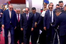 Эрдоган впервые за 12 лет прибыл в Египет