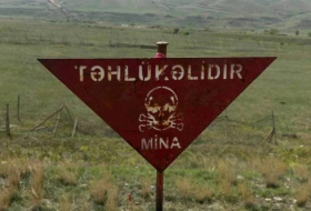 ANAMA: Армения передала Азербайджану 8 формуляров минных полей, однако они неточные